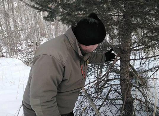 из открытого источника