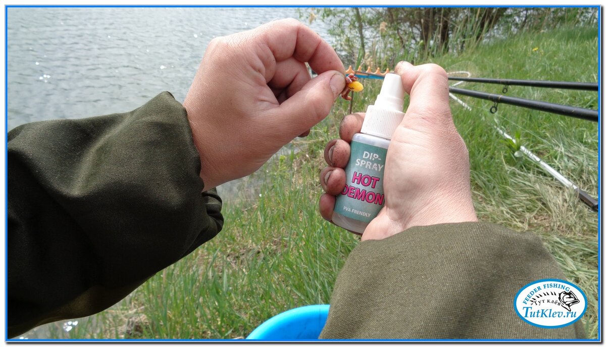 Обычно, комплект насадок рыбака любителя выглядит следующим образом - консервированная кукуруза, вареный горох, черви и опарыш.