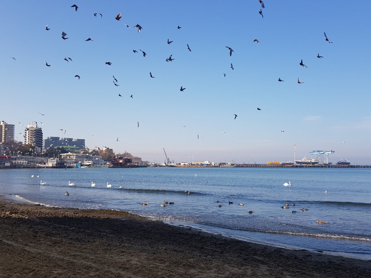 Анапа. Фото Анна Карпенко. 