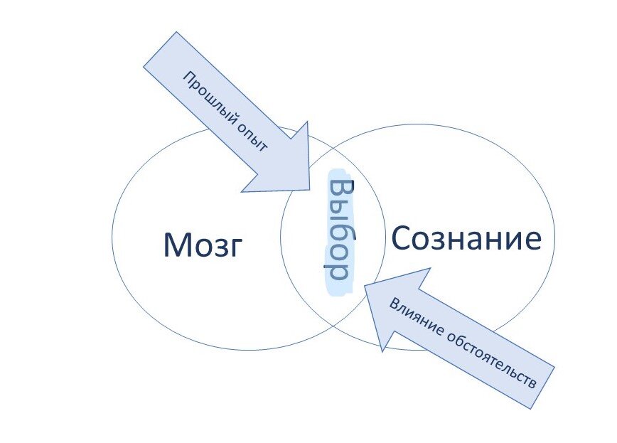 Схема принятия решения