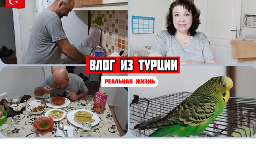 Приколы и позитив