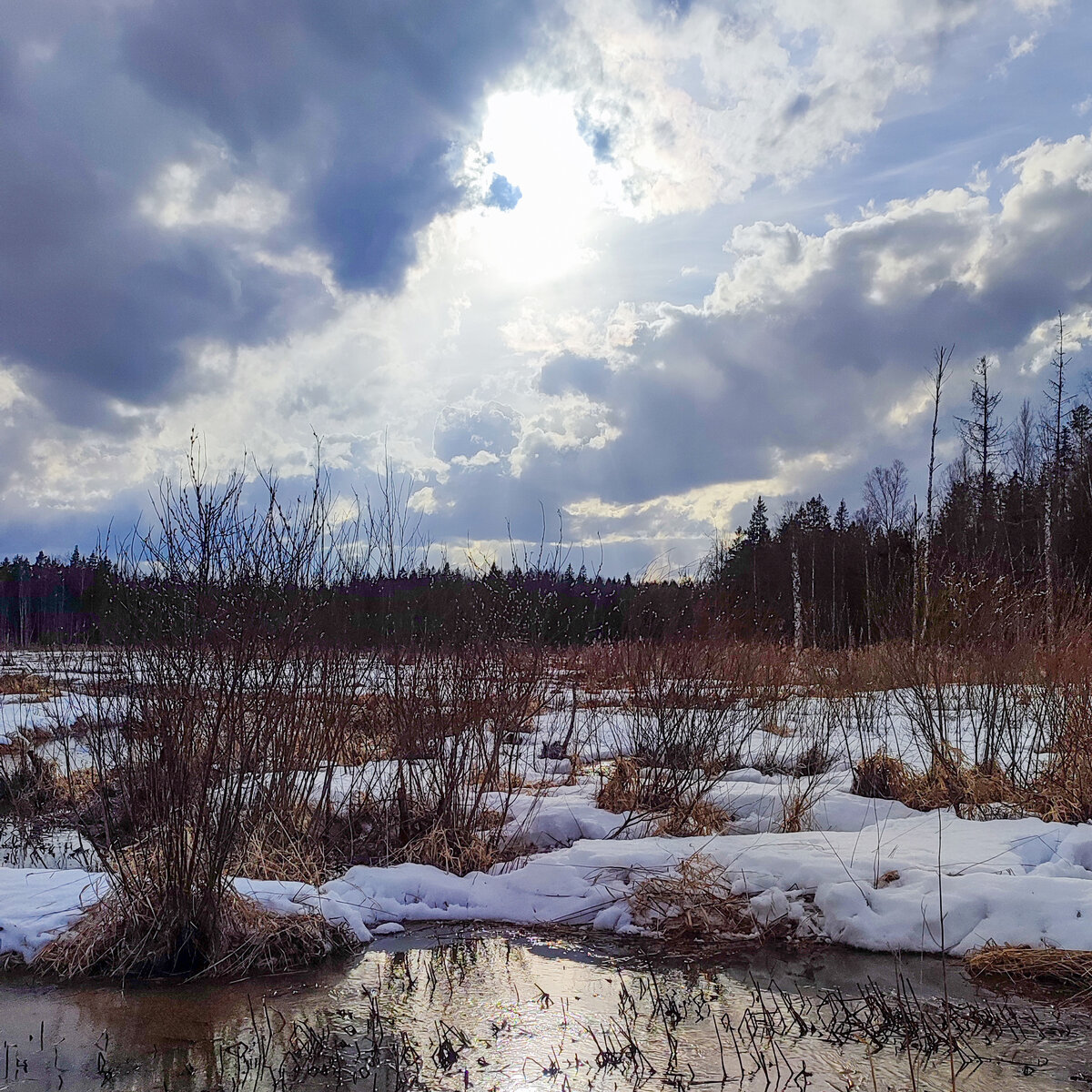 Начало маршрута по тропе в Шапках