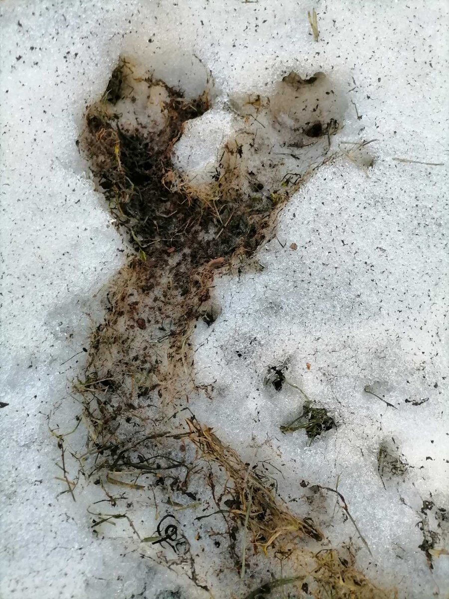 -1-2