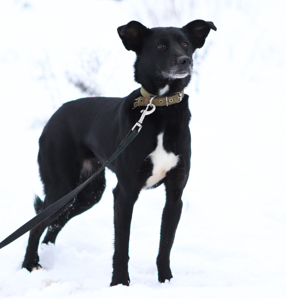 Я не пробовала ничего, кроме жизни, но она мне не по вкусу.