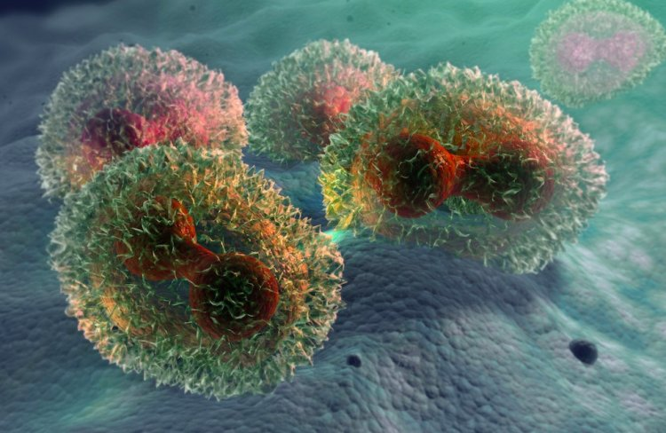 Это вот она