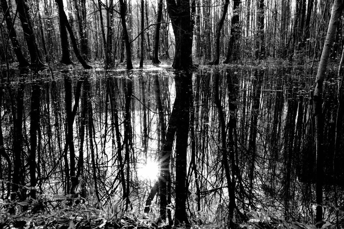 Уличный фотограф Сергей Караваев, Ricoh GRiii