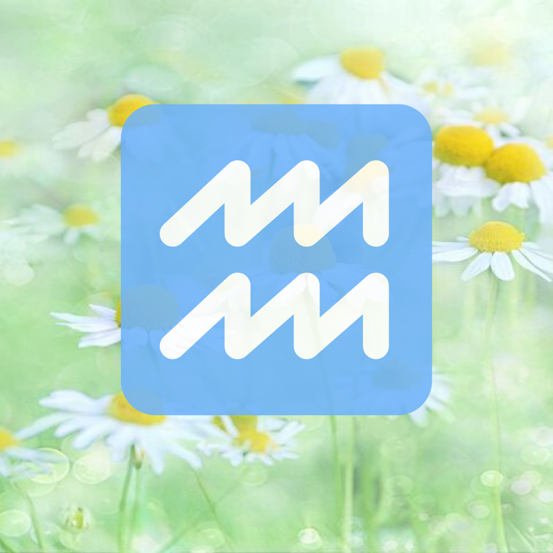 яндекс-картинки