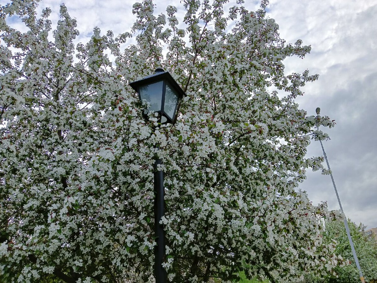 Дождь в бердске. Прогноз бердск. Прогноз бердск. Дождь в бердске. Прогноз бердск.