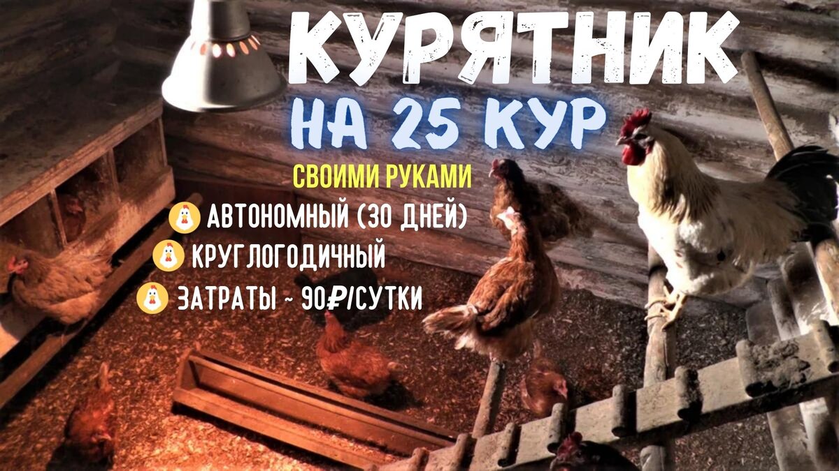 Курятник из сэндвич панелей: плюсы и минусы