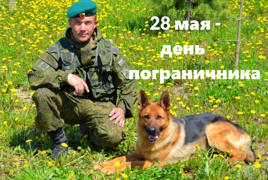 Фото с Яндекс.Картинки