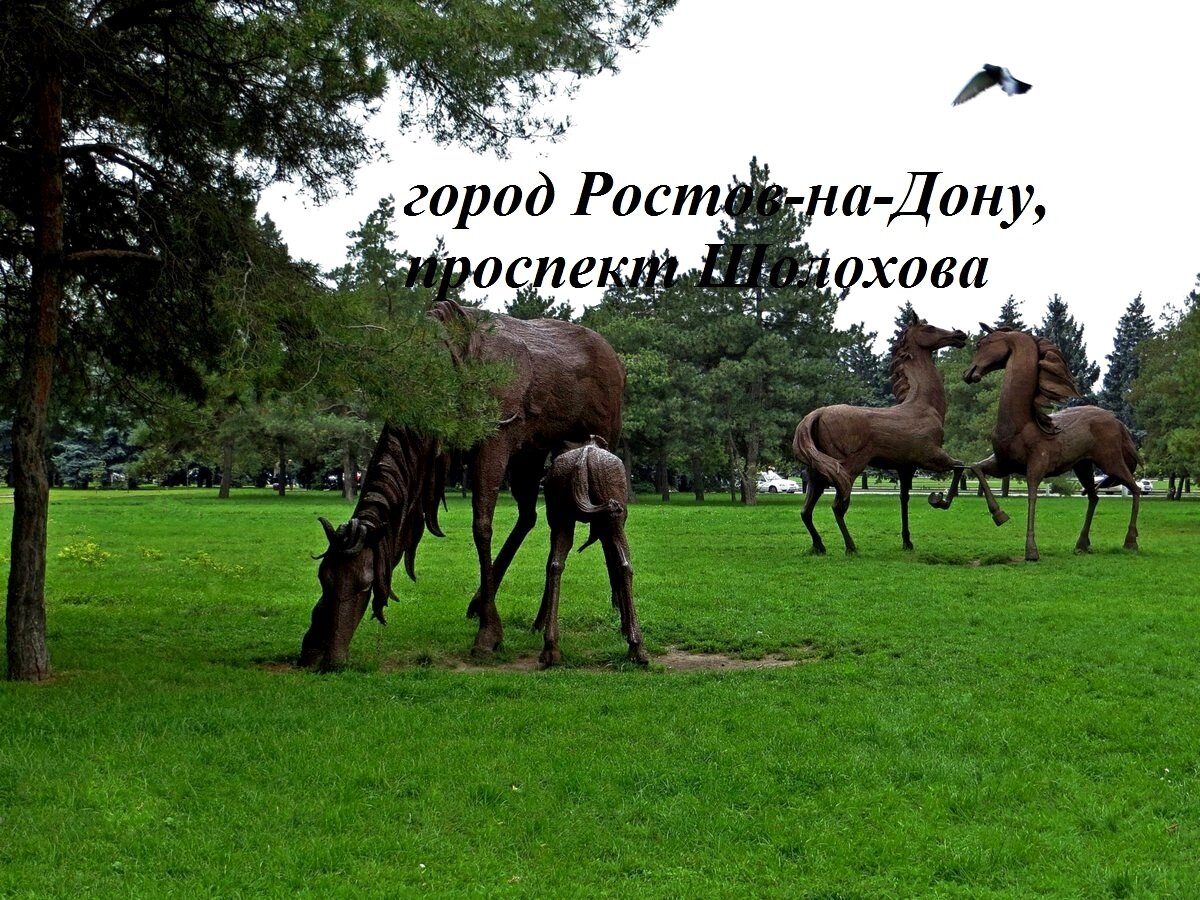 Фото-иллюстрация из свободного доступа в обработке автора. Город Ростов-на-Дону. Лошади на Шолохова