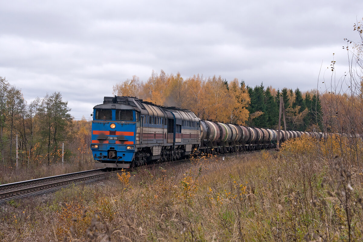 Тепловоз компании БТС, он же "Большая Тепловоза Синяя" :)