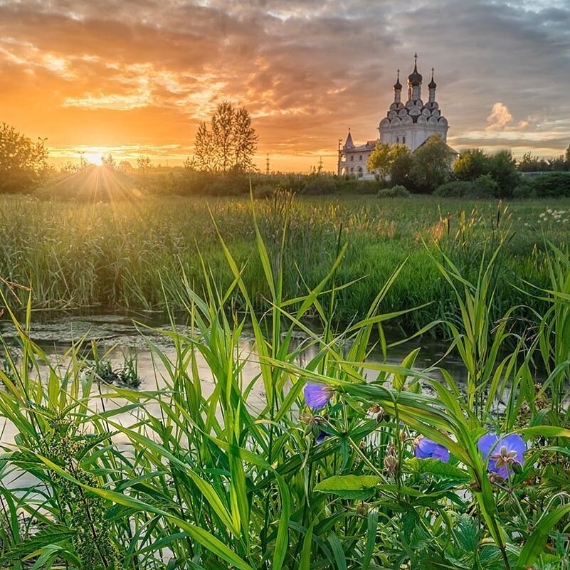 фото из открытого доступного источника сети интернет