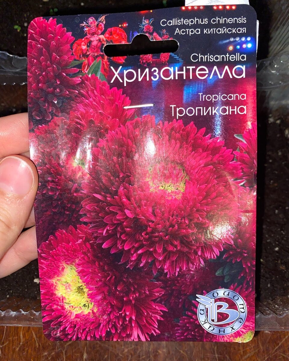 Пачка с семенами 