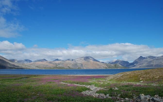 Парк берингия