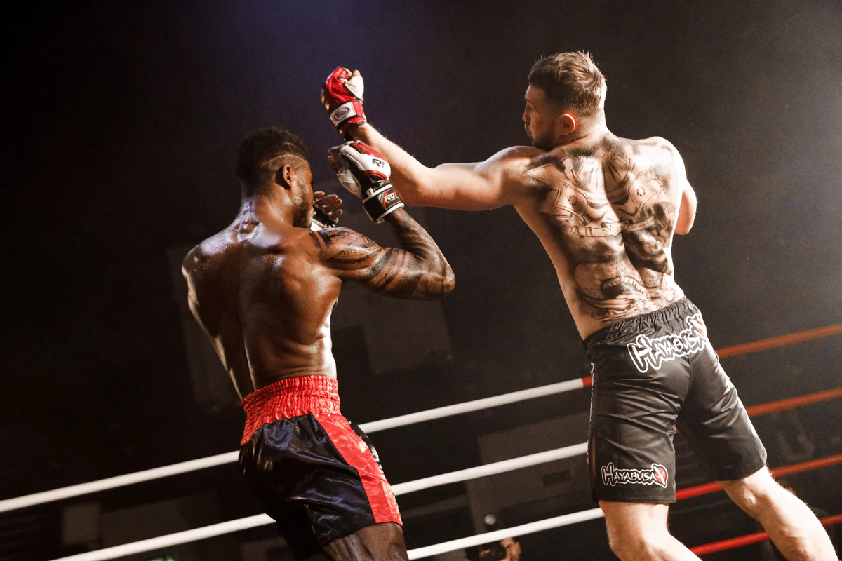 Бультерьер (драма, Россия)