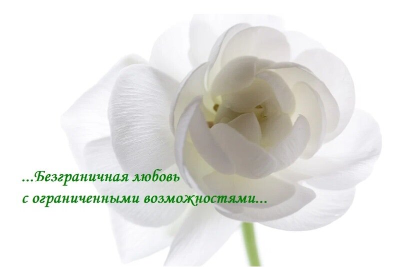 Глава 6.