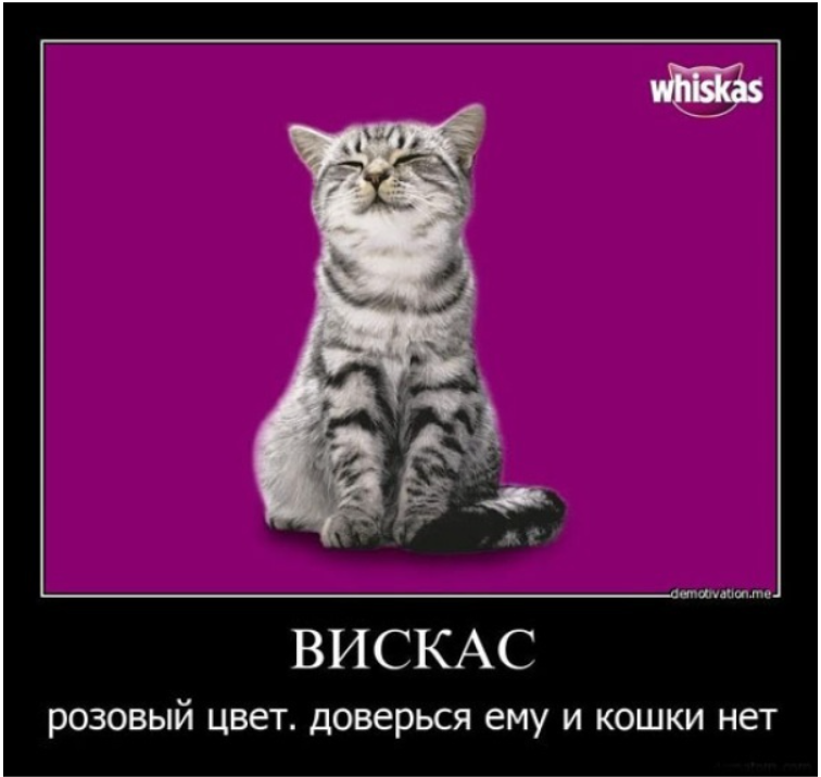 Данная картинка несет исключительно развлекательный характер, мы не хотим обидеть ни сторонников этого корма, ни производителей.