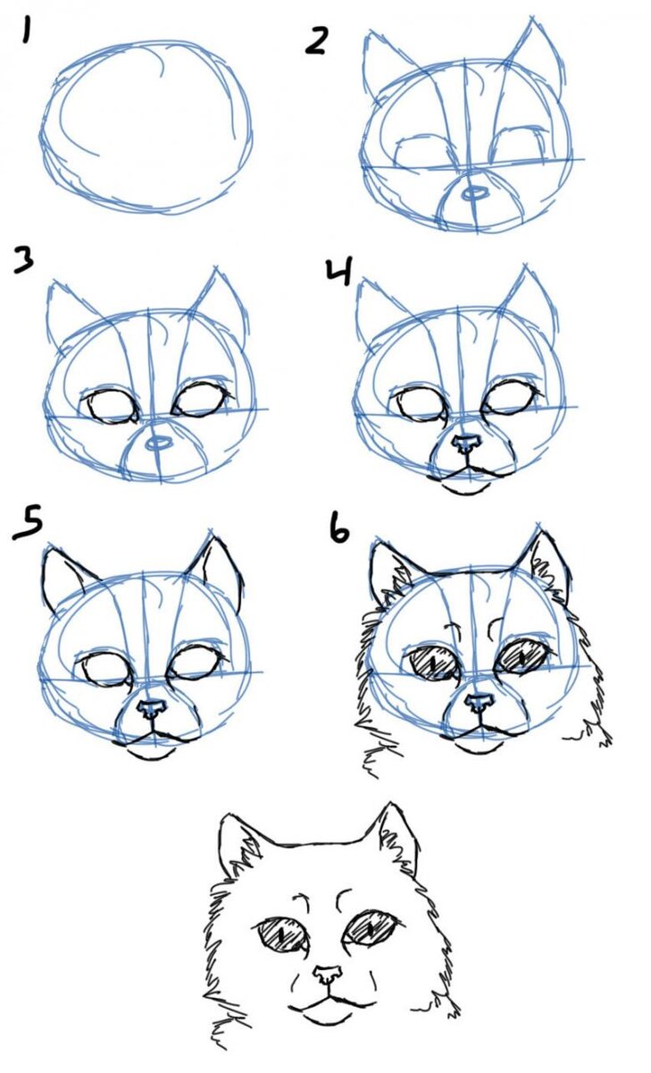 Как правильно научится рисовать кошку? | Александр Веретеннников | Дзен