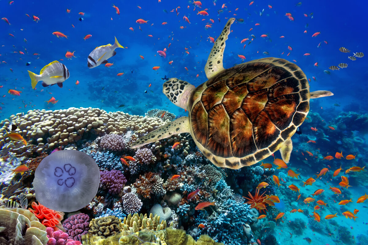 Фото: shutterstock