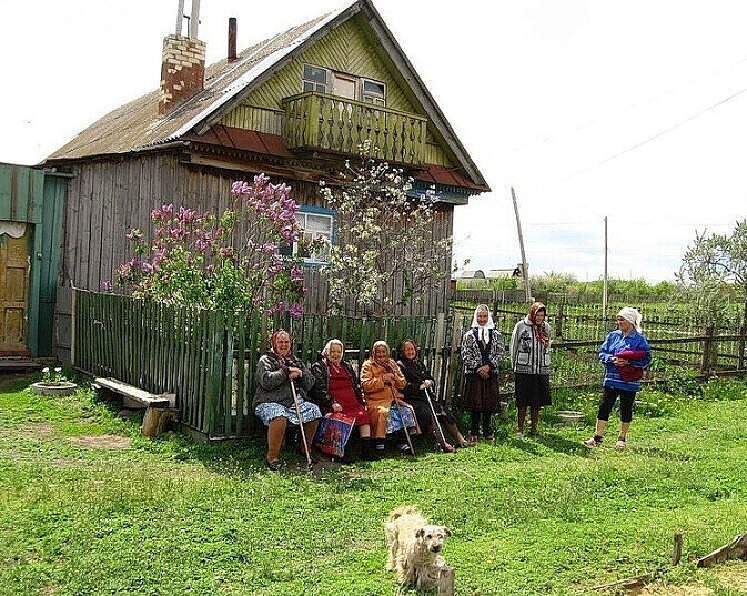 Яндекс-картинки. 