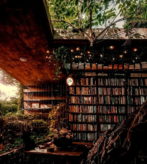 В Лесных чертогах, где жила и училась Исилиэль, была огромная библиотека с книгами. Девушка очень любила проводить своё время там и много читала, порой находя такие экземпляры, которые не должны были попасть в её руки - время не пришло, как говорил магистр Этанириэль.