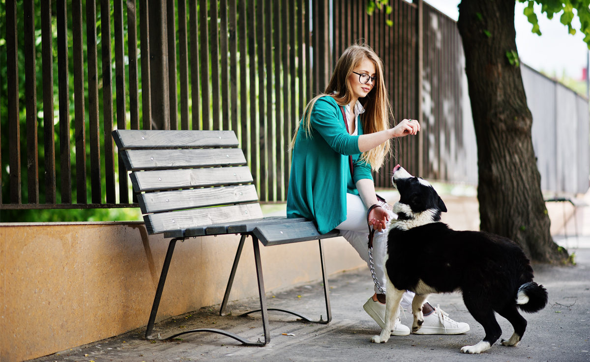 Добавьте описание