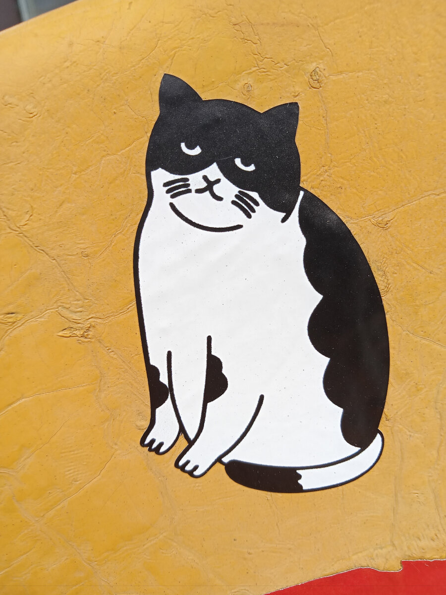 Фото автора сфотал стул