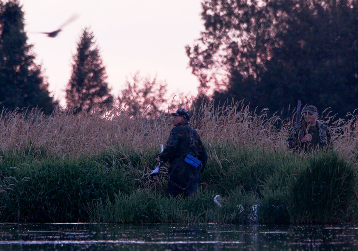 13 Подстреленный фотограф | Природа России (фото и видео) | Дзен