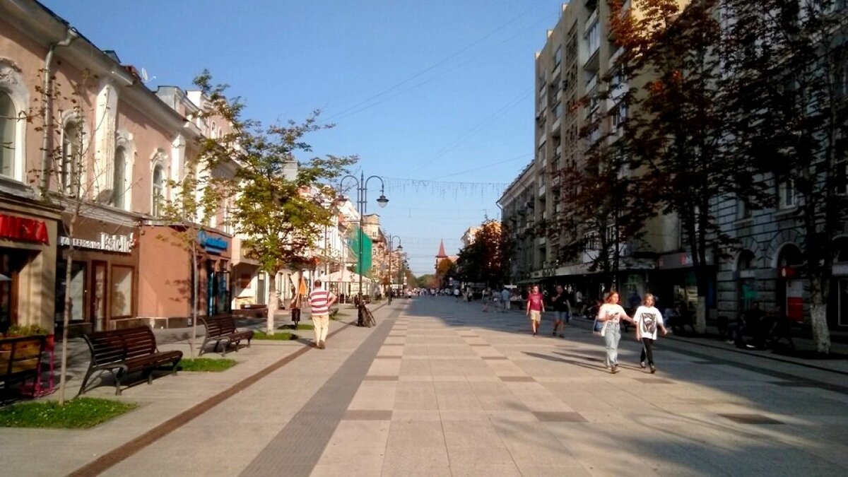    В Саратове на проспекте Столыпина обнаружили питона: и.п. главы города сделала заявлениеНовости Саратова и области – Сетевое издание «Репортер64»