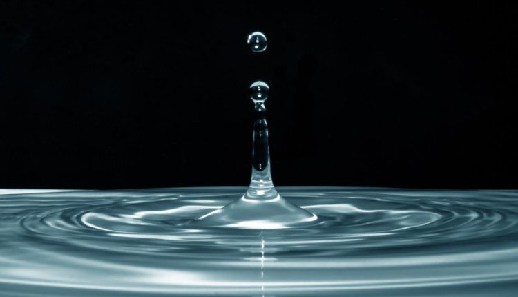 Фото: pixabay.com