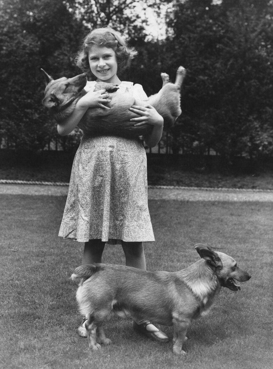    Елизавета II в возрасте десяти лет с двумя корги / Gettyimages.ru / Lisa Sheridan/Studio Lisa/Hulton Archive/Getty Images