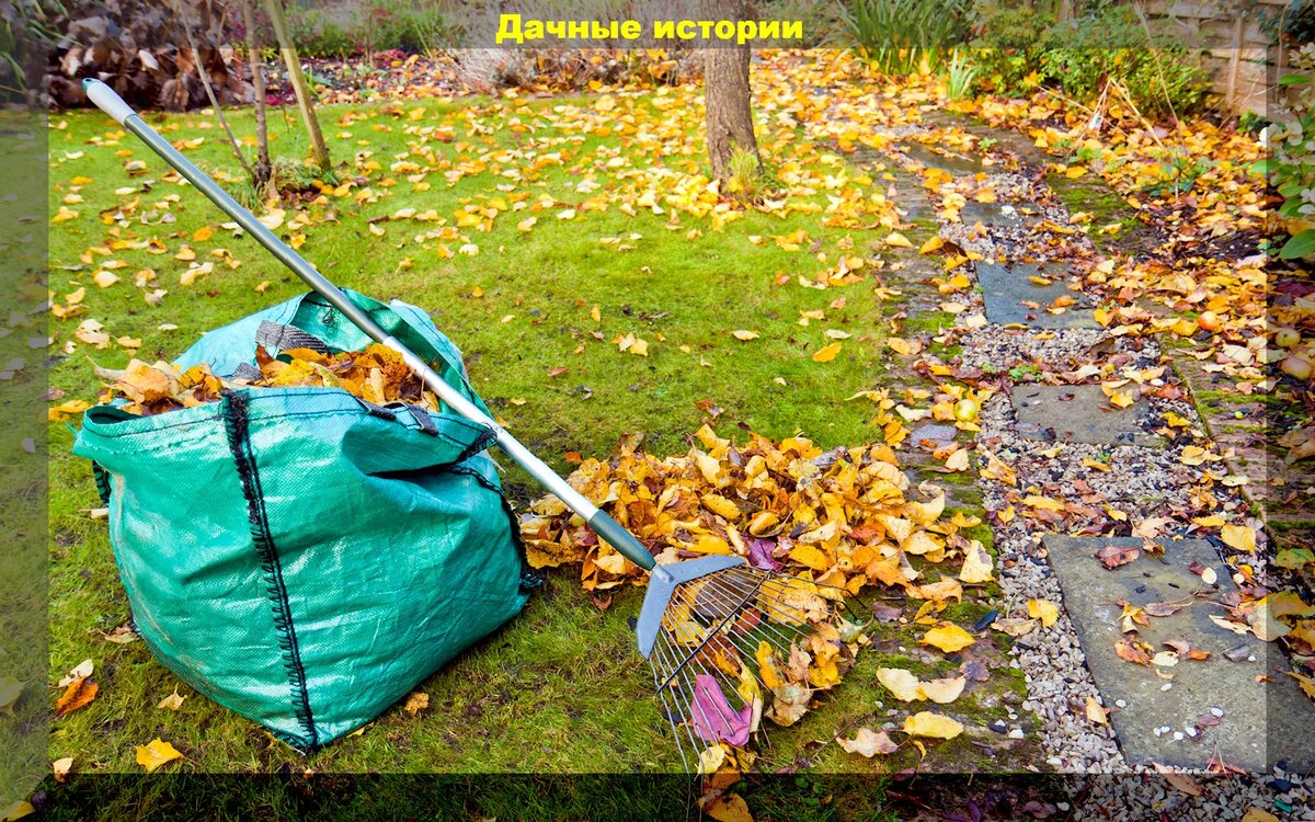 https://vk.com/photo-159774511_457255696