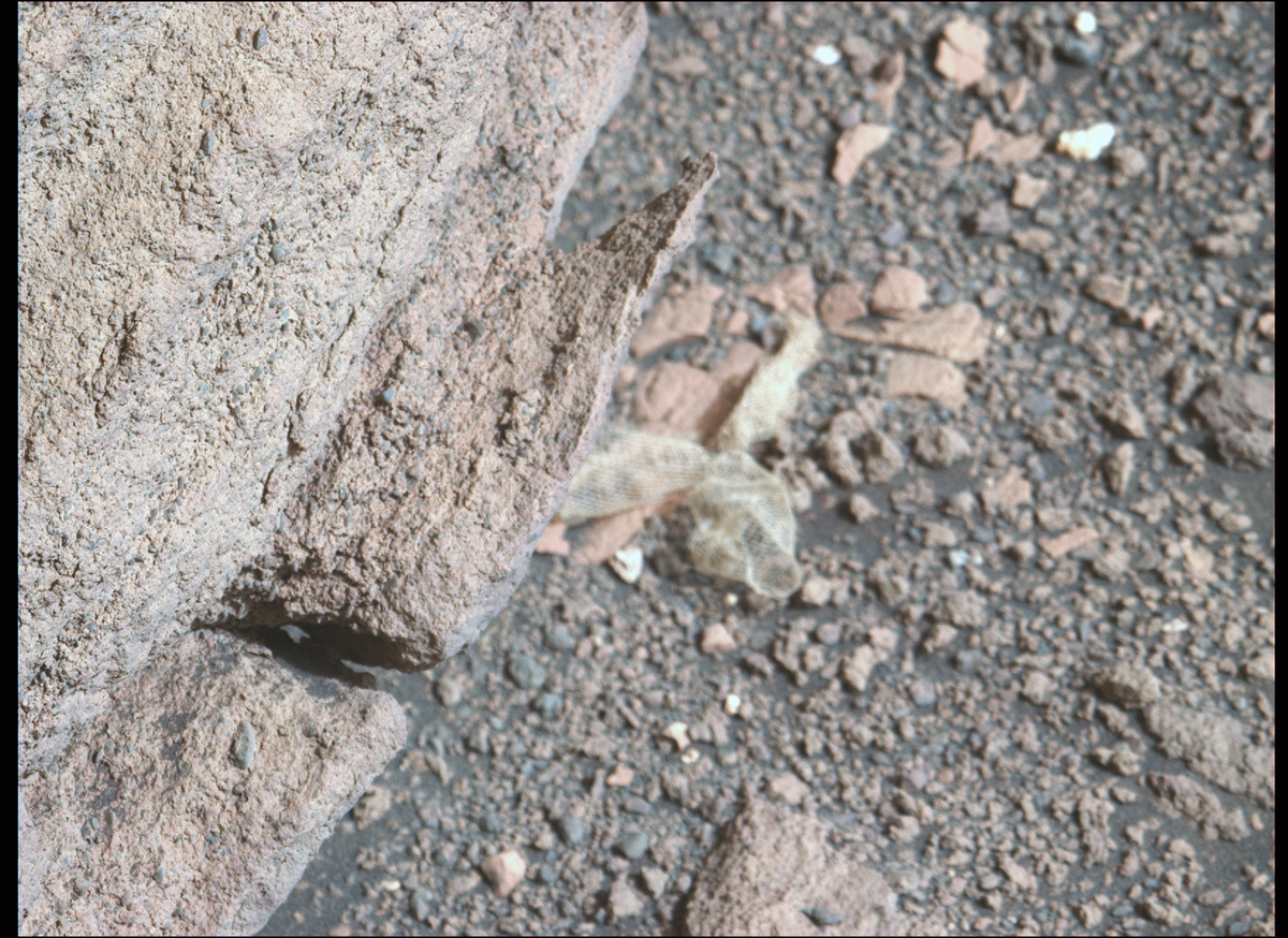 Земля или Марс?