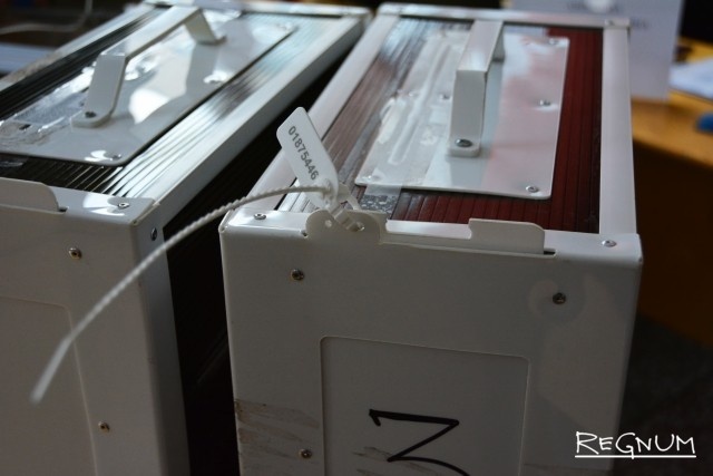    Выборы Марина Каширская © ИА REGNUM