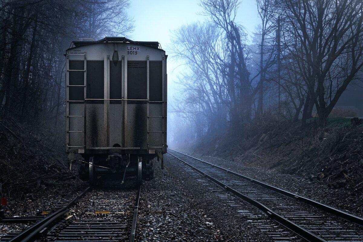 Яндекс- картинки