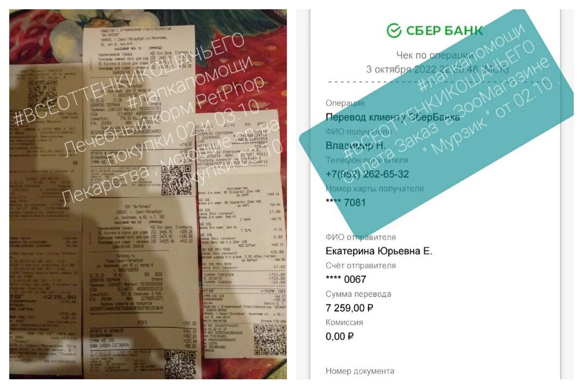 © ВСЕ ОТТЕНКИ КОШАЧЬЕГО. Оплата и чеки. 