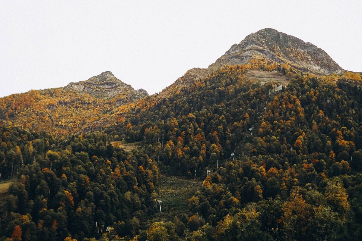 Горы уже начали окрашиваться в "золото"