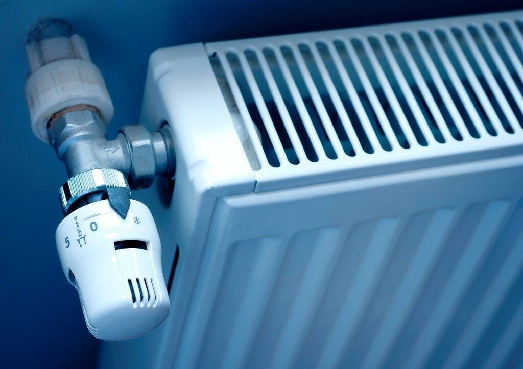 Фото: Андрей Денисов, AMMIAC.