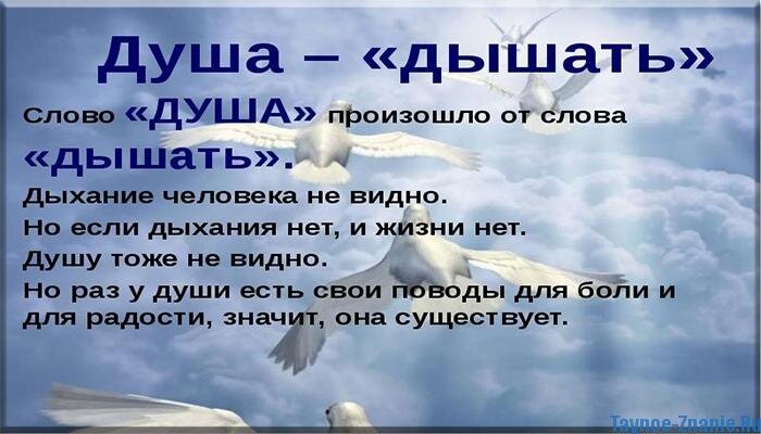 Душа человека находится. Душа. Что такое душа человека определение. Понятие душа.