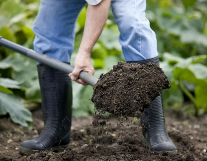 Фотография взята из источника zpitomnik.ru