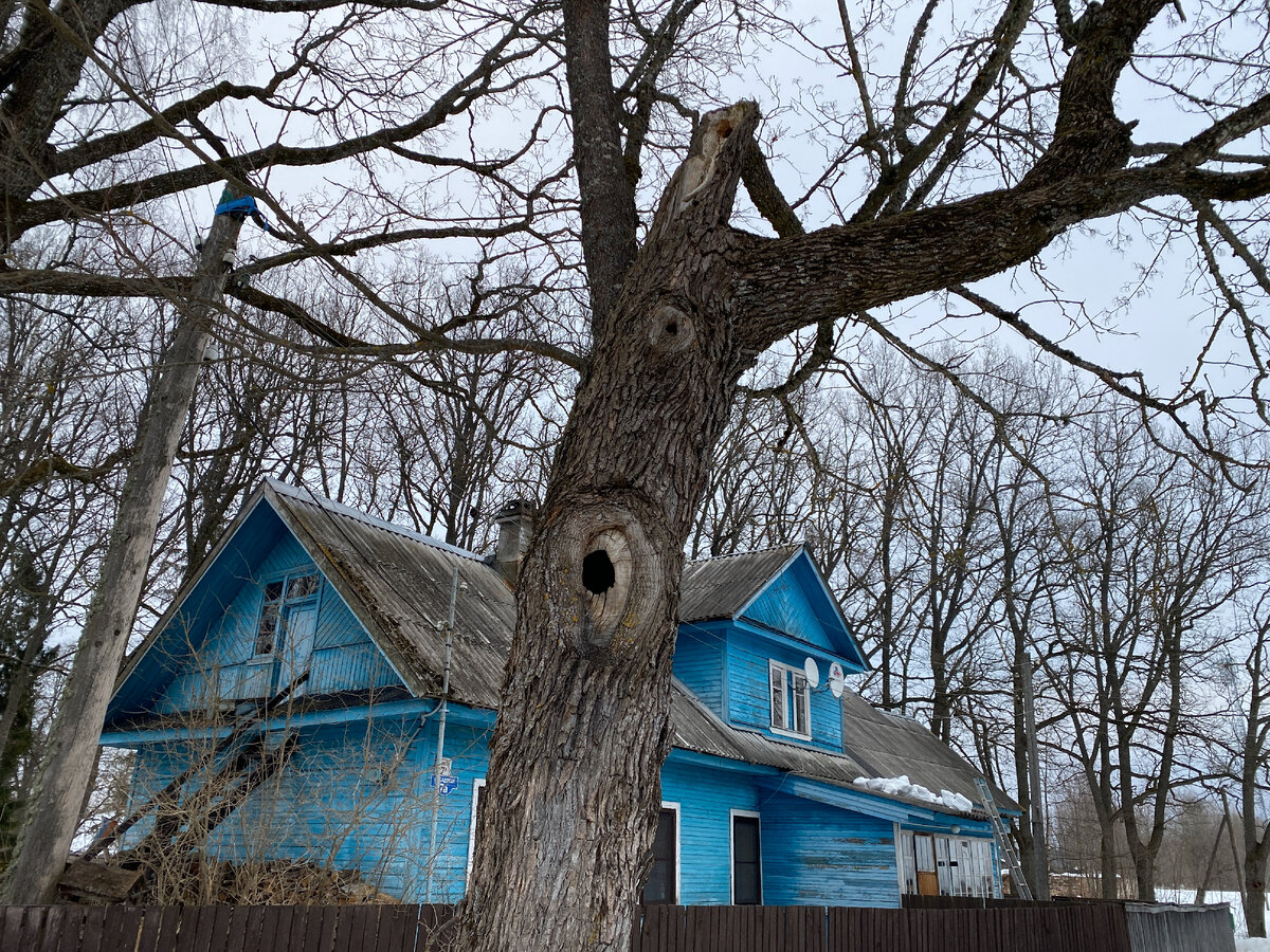 Усадьба Витгенштейна Дружноселье. | За пределами городов. Ксения Джилла |  Дзен