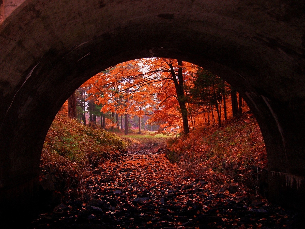 Фото найдено на просторах сети, выражаю благодарность автору. Сама не умею так классно фотографировать.