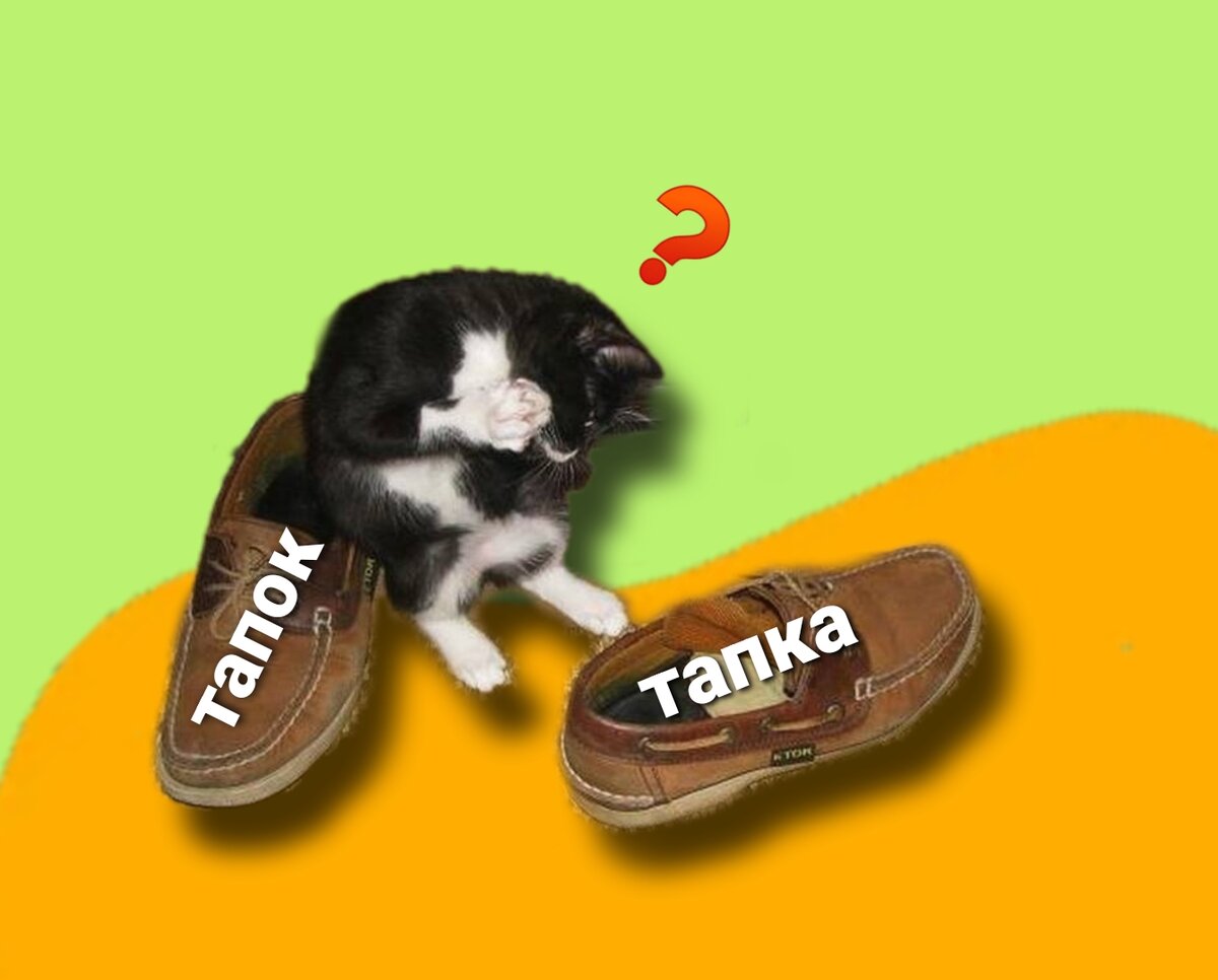 Что же выбрать?
