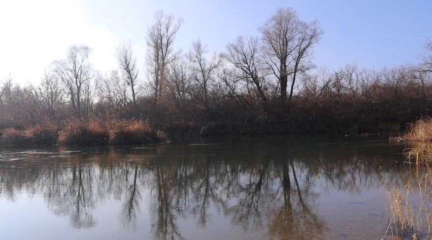 Холодные воды октября-ноября заставляют рыбу уходить на глубину.