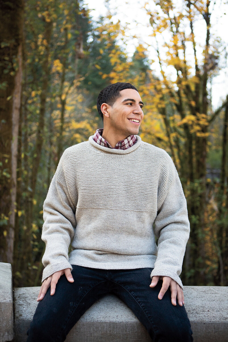 Пуловер для мужчин спицами