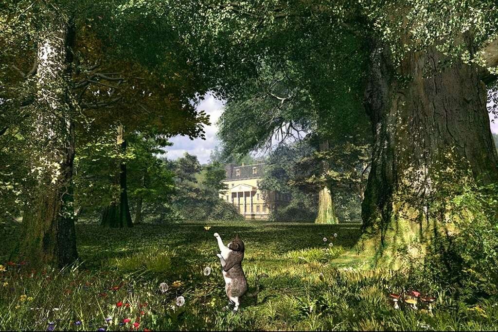 Доминик Дэвисон (Dominic Davison).