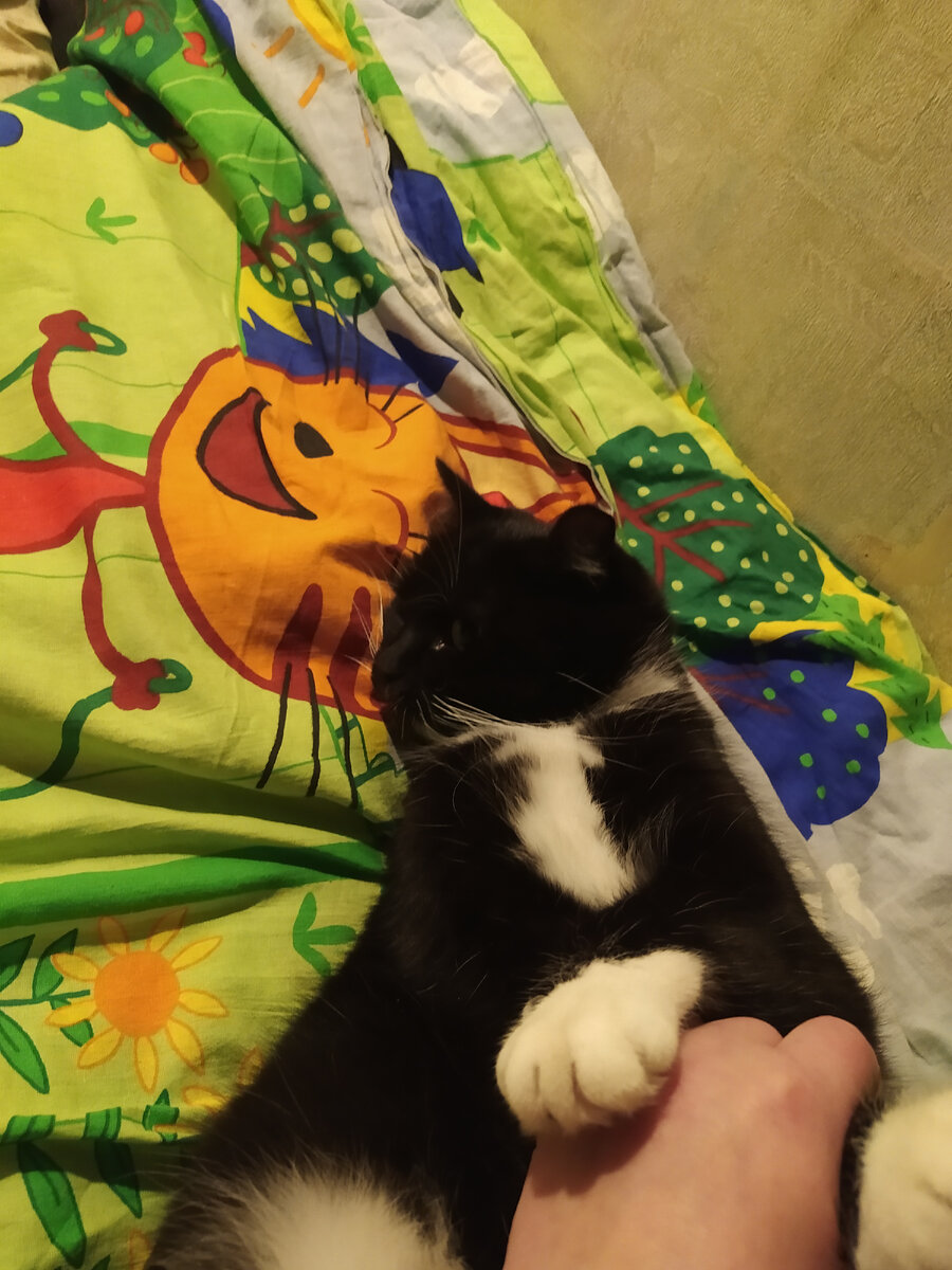 Это Печенька. Играть сиротинушку это прямо её. Оскара, Оскара ей немедленно!)))