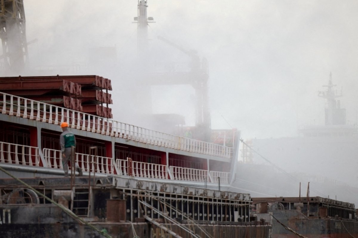    Украина заявила о блокировке около 220 судов, участвующих в зерновой сделке