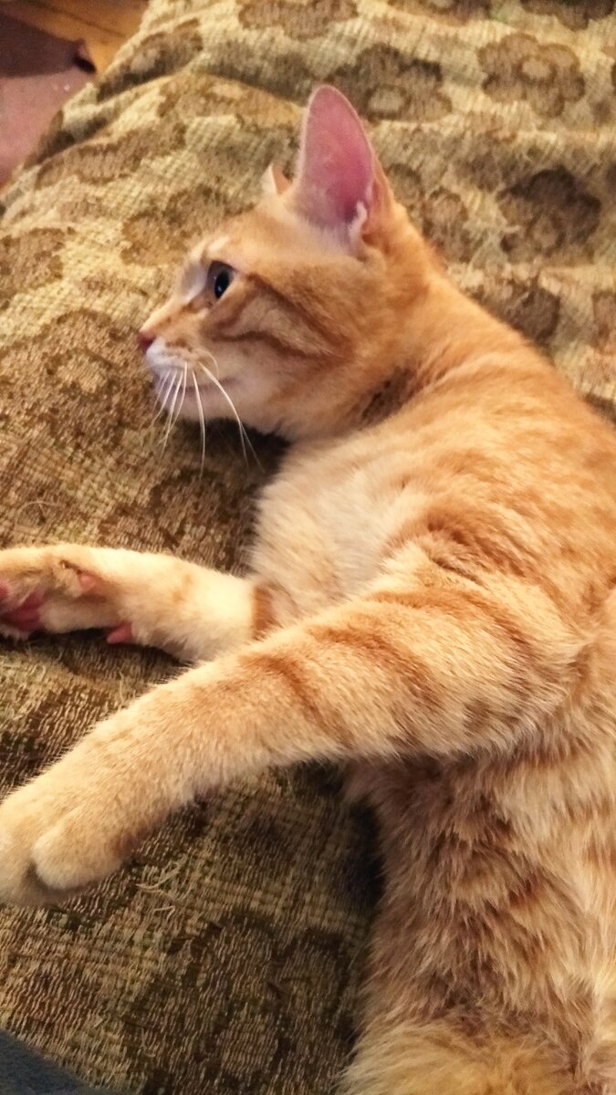 Личное  фото.